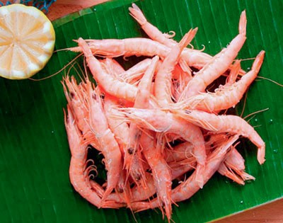 gambas