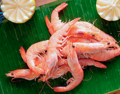 langostinos marisco